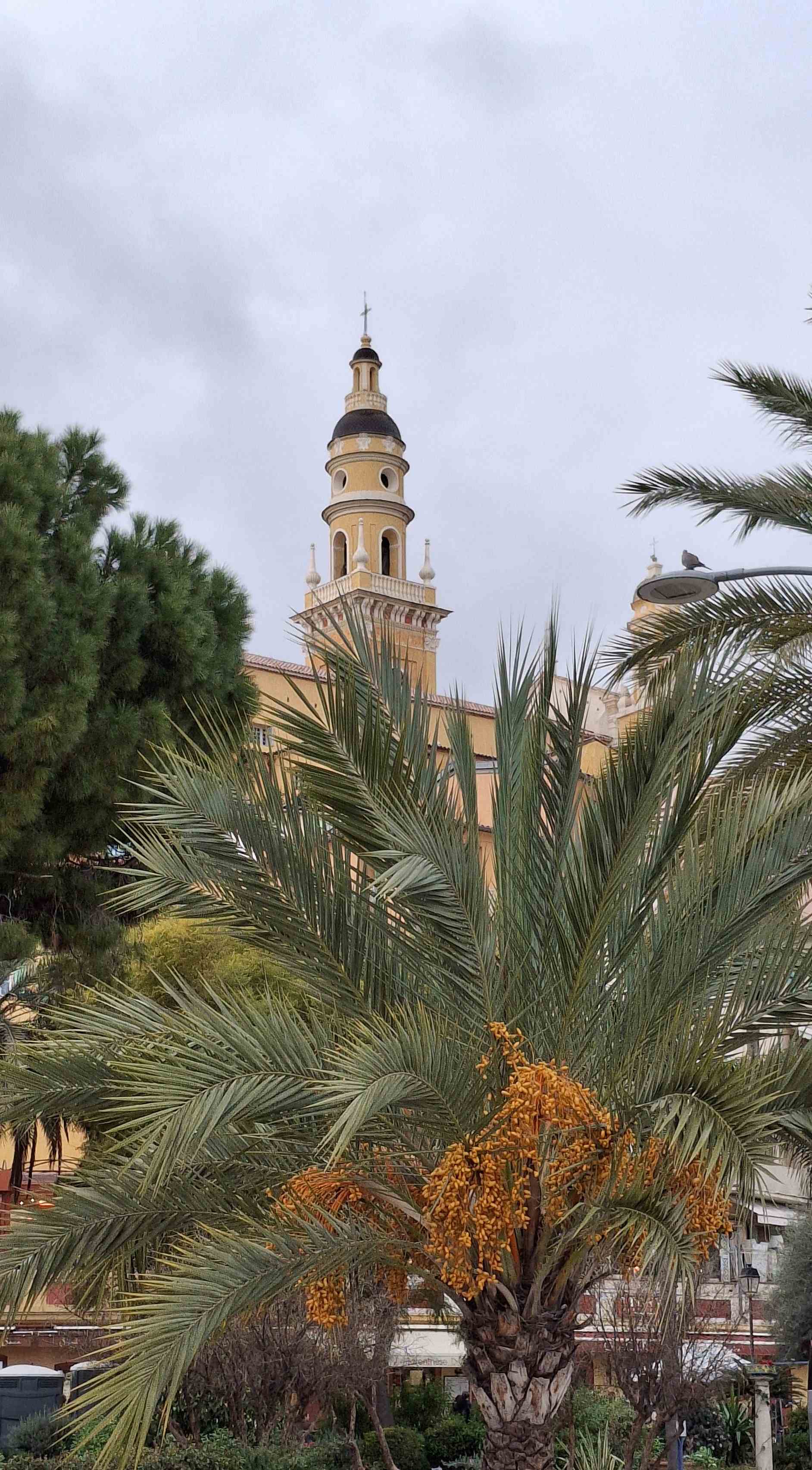 1 menton 2