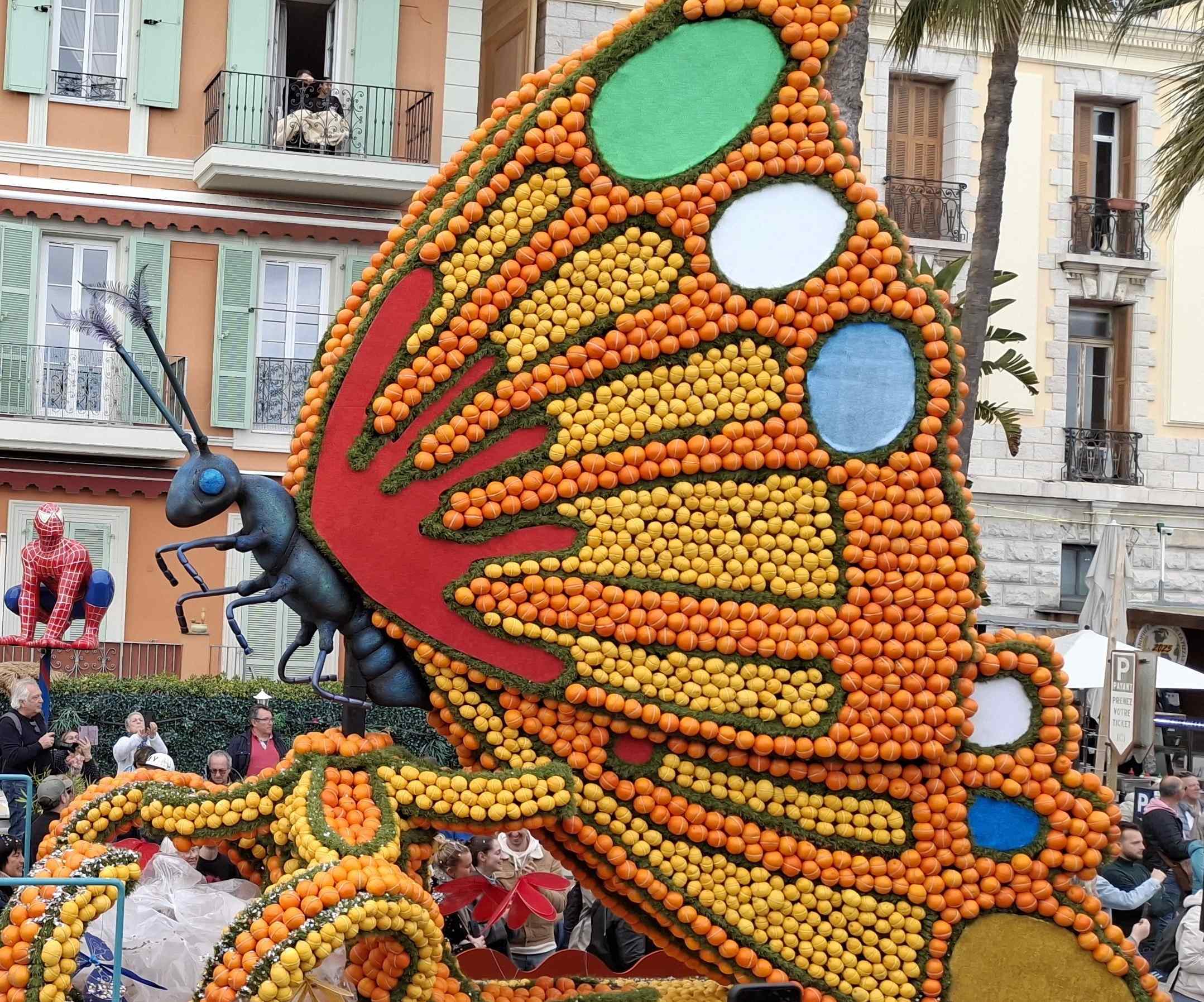 2 Citron menton 10