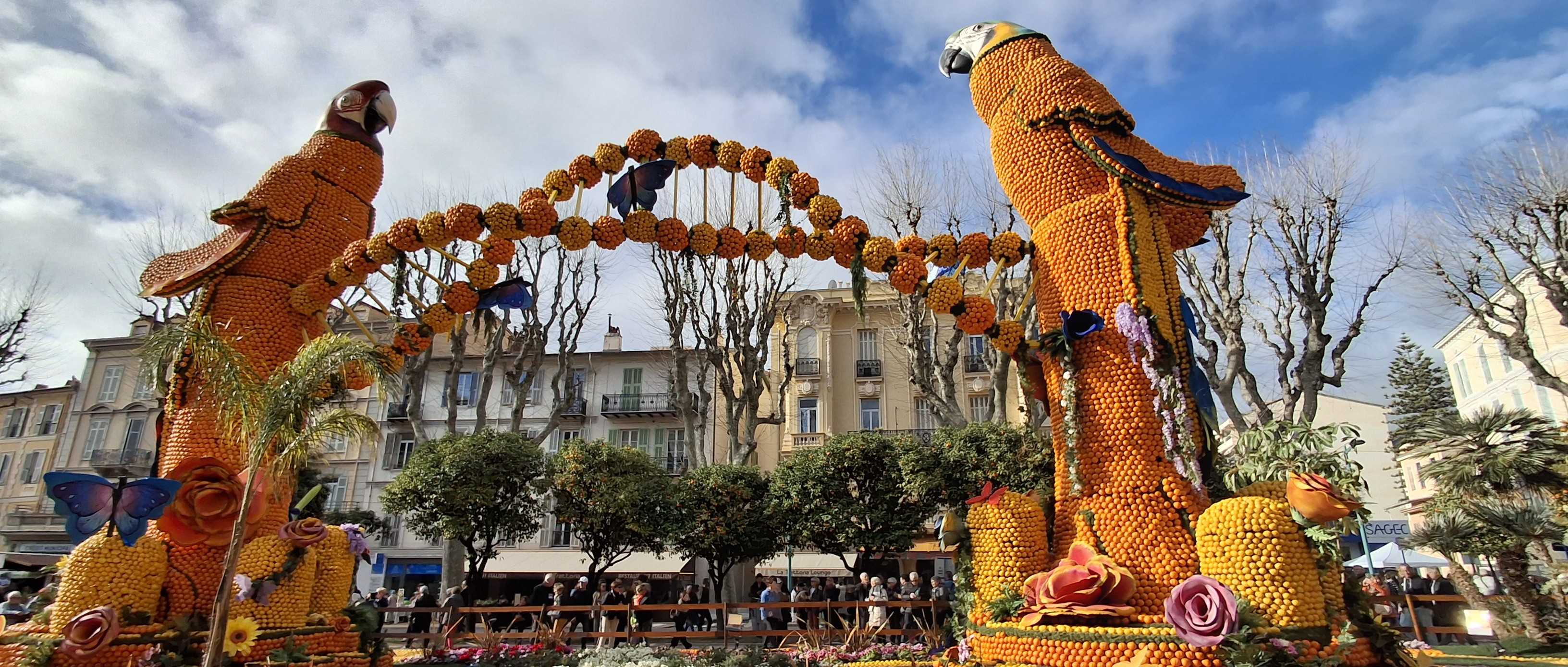 2 Citron menton 3
