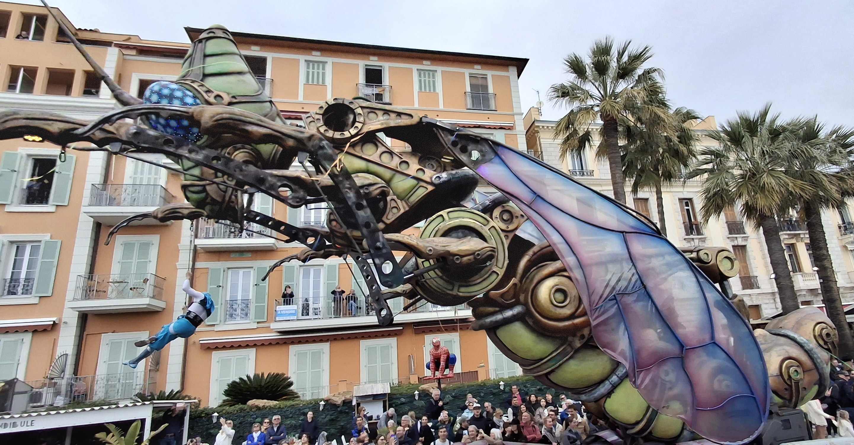 2 Citron menton 9