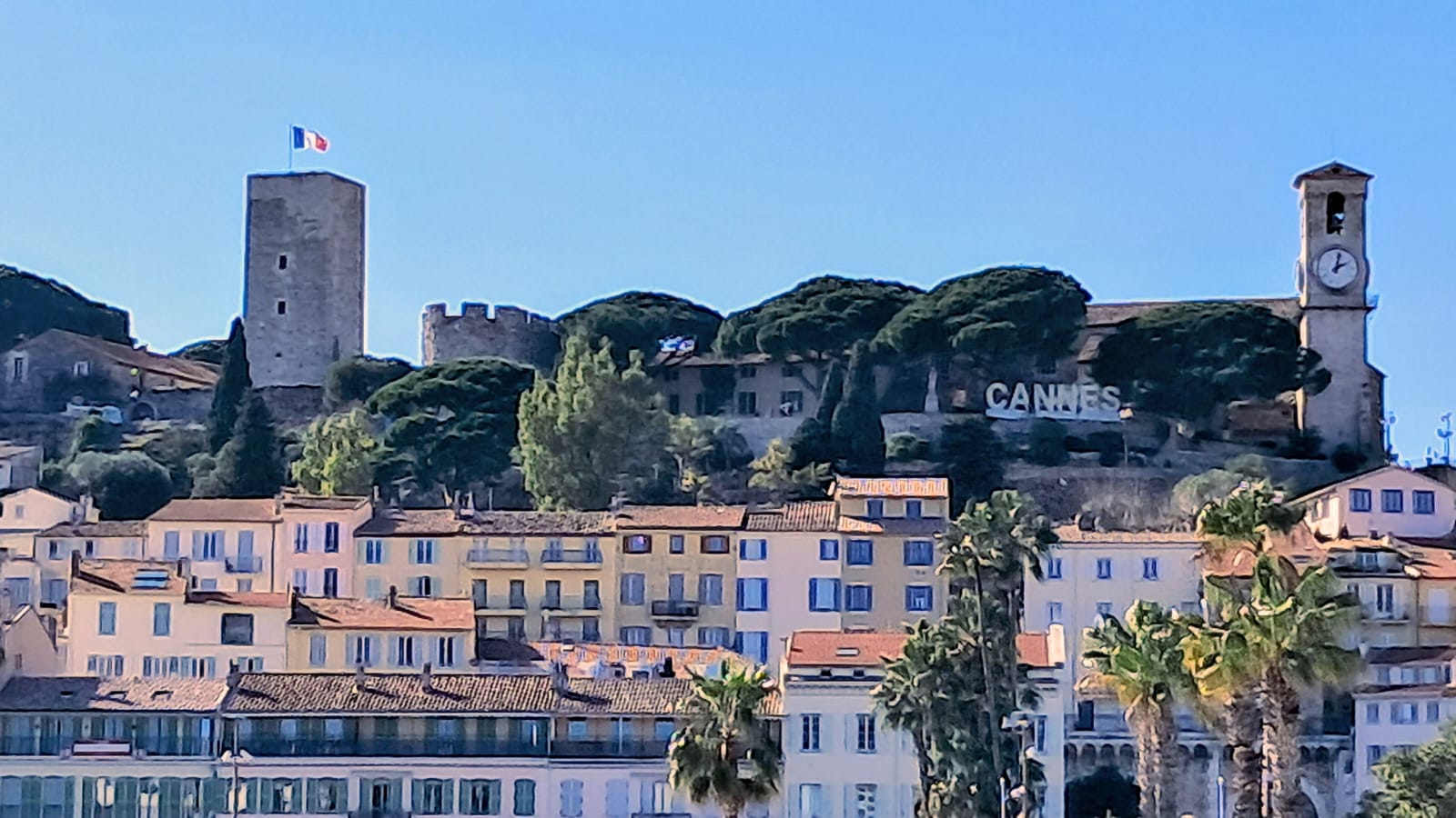 4 cannes