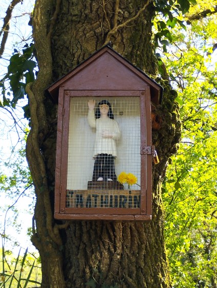 image0000011